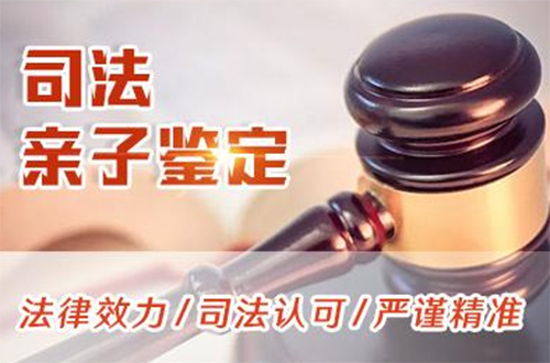 吉林省司法亲子鉴定如何办理,吉林省司法亲子鉴定结果需要多久