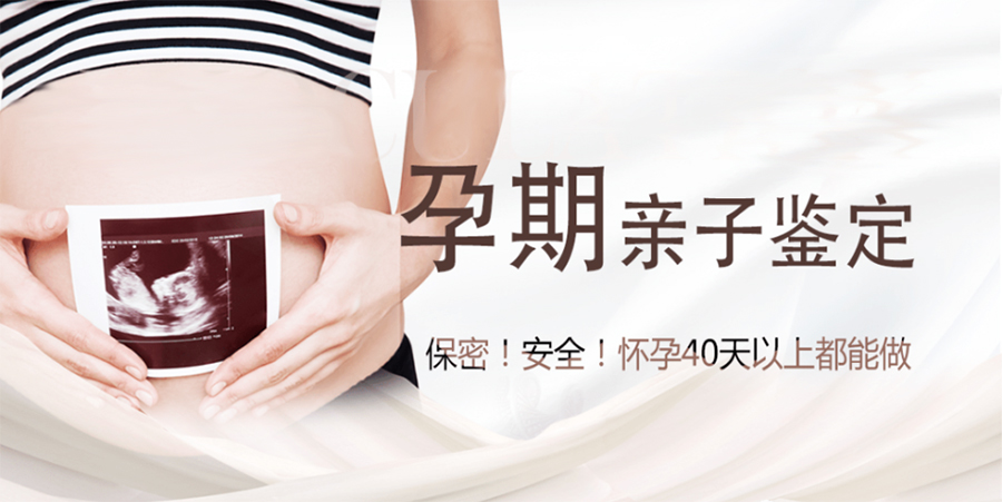 吉林省怀孕了如何办理亲子鉴定,吉林省怀孕办理亲子鉴定具体的流程