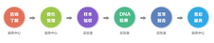 吉林省隐私亲子鉴定流程